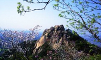 팔봉산